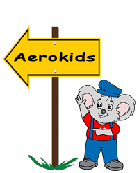 aerokids branches across india