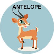 antelope