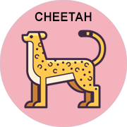 cheetah