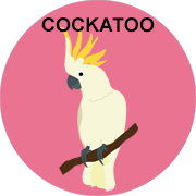 cockatoo