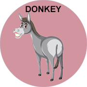 donkey