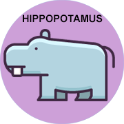 hippopotamus