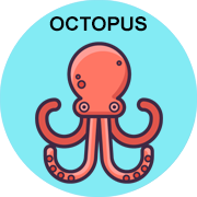 octopus