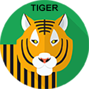 tiger